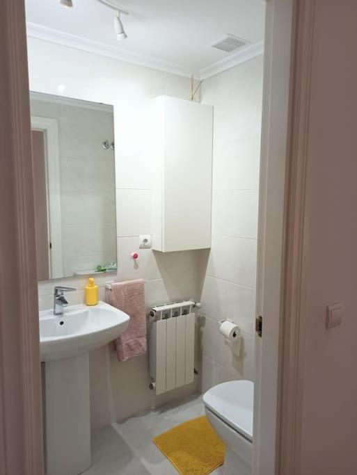 Bajo Con Jardin Privado Apartamento Santander Exterior foto