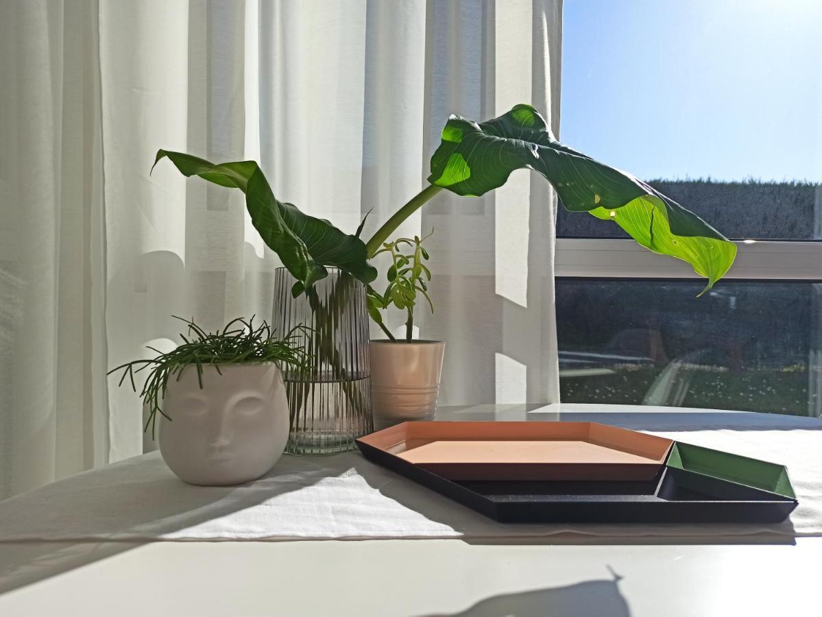 Bajo Con Jardin Privado Apartamento Santander Exterior foto